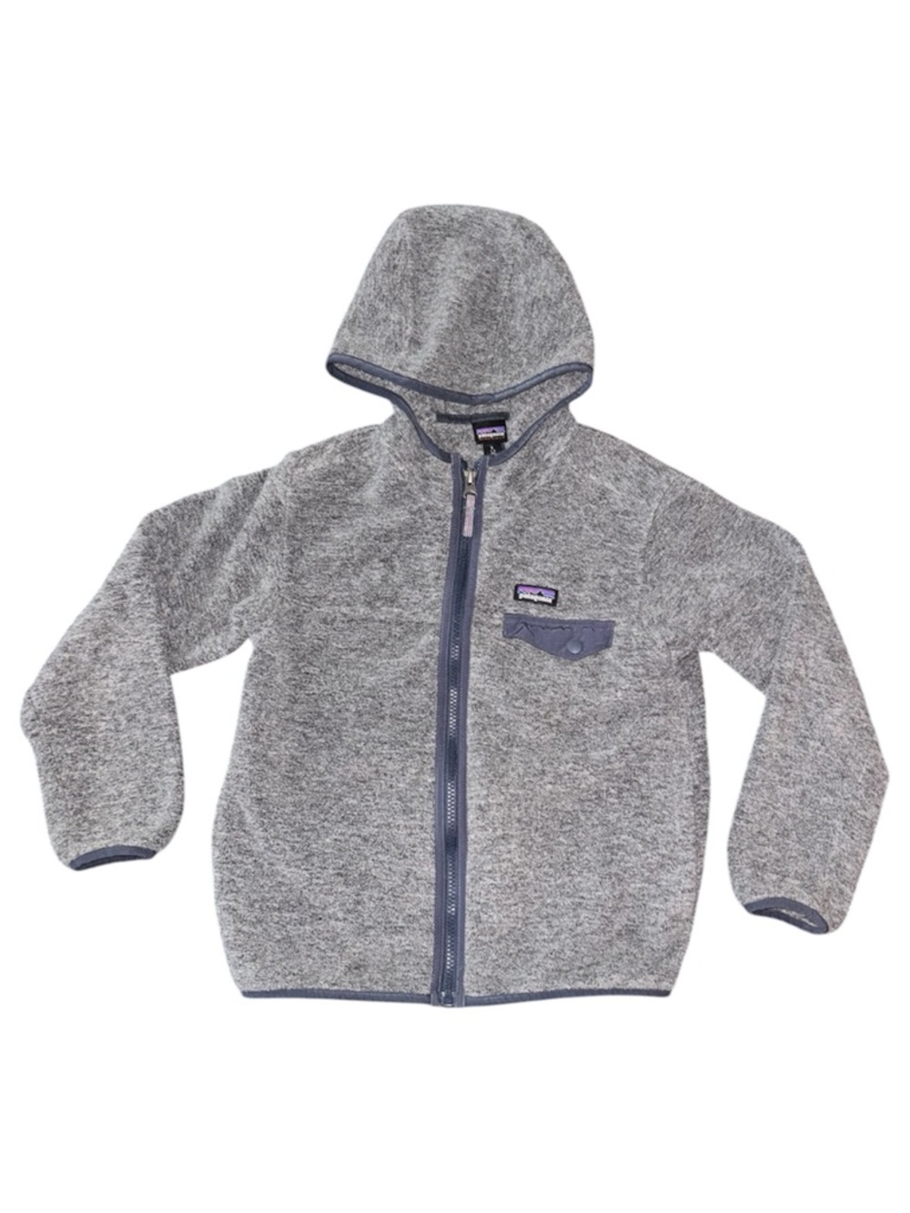 Patagonia Kids Heather Gray Hooded Zip Fleece
